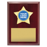 Star Plaque - Gold!