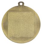 Wayfare Medal Gold Trophies