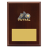 Peak Plaque Futsal