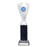 Spirit Cups - Silver!