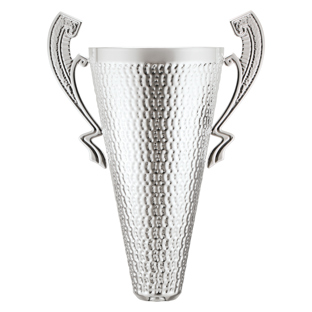 Sentinel Cup