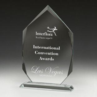 Integrity Arrowhead