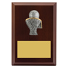 Peak Plaque Basketball