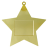 Gold Star Medal