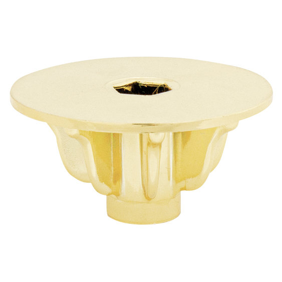 Reversible Lid - Gold!
