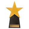 Gold Star