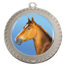 Ovation - Horse!