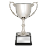 Recognition Cups!