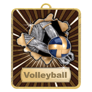 Volleyball