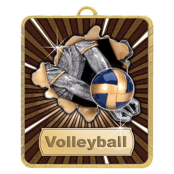 Gold Lynx Medal - Volleyball!