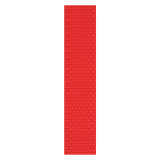 Red Loop Ribbon