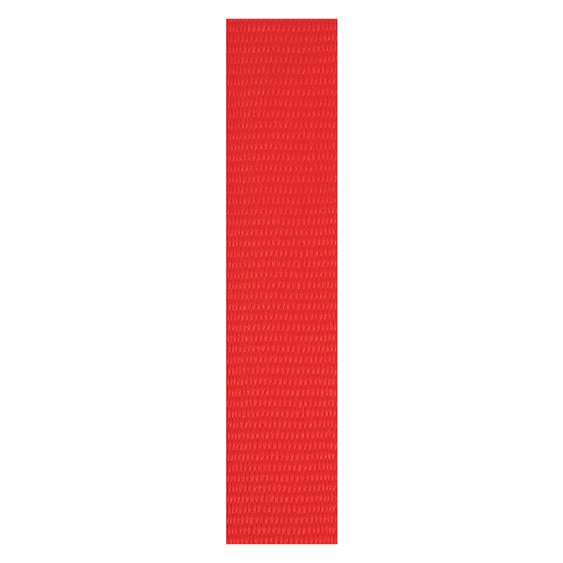 Red Loop Ribbon!