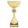 Gold Rosette!