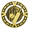 Varsity Cricket