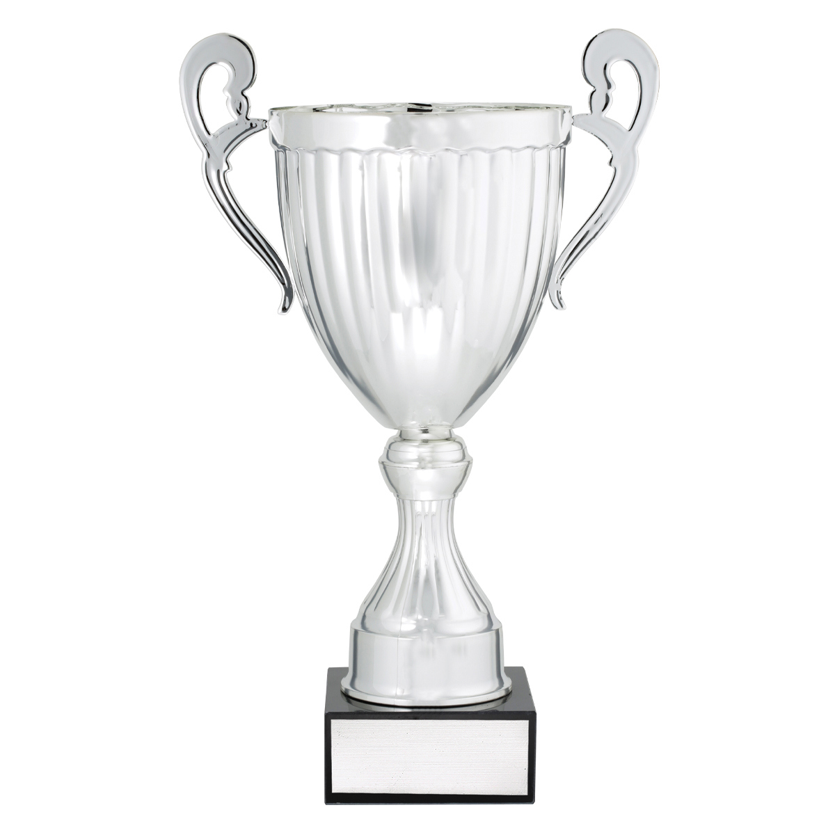 Endeavour - Silver