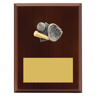 Peak Plaque Baseball