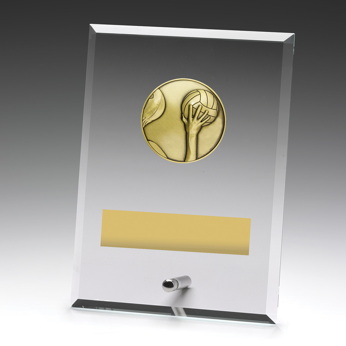 Glass Plaques - Water Polo