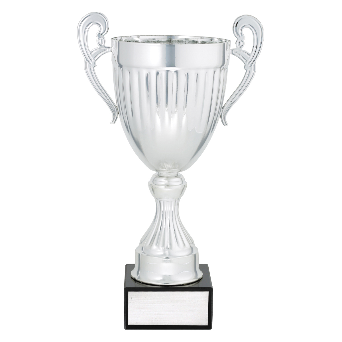Endeavour - Silver