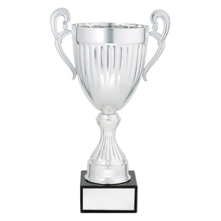 Endeavour - Silver