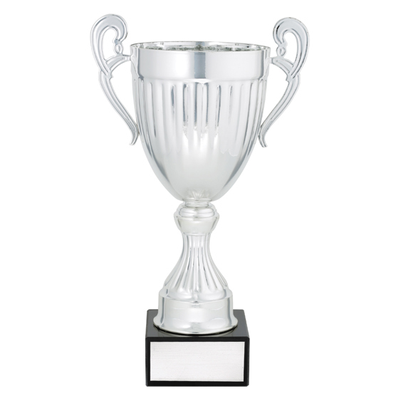 Endeavour - Silver!