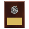 Peak Plaque - Male Swim