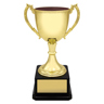 Ultimate Gold Cup!