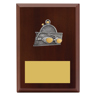 Peak Plaque Swim