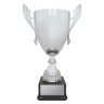 Ironside Cup - Silver!