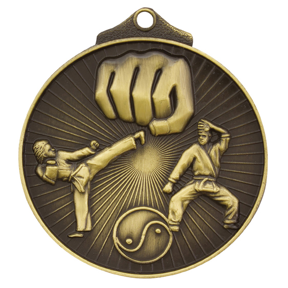 Karate Medal!