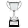 Ultimate Silver Cup!