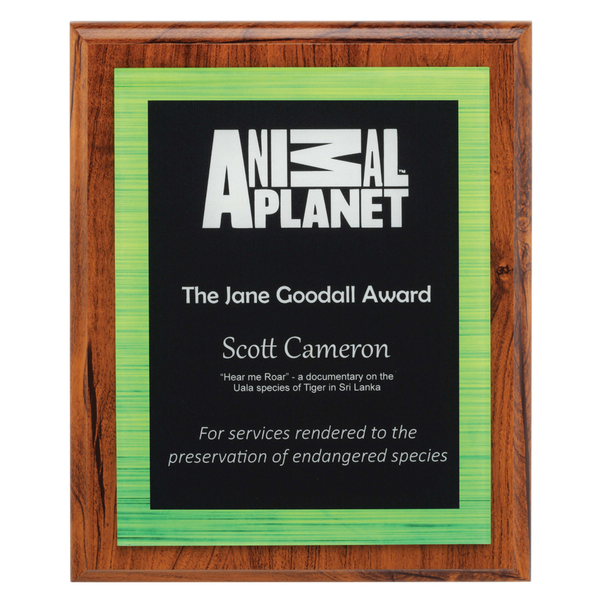 Vivid Green Plaque