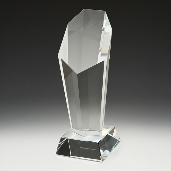 Endurance Award!