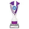 Spirit Cups - Silver / Purple!