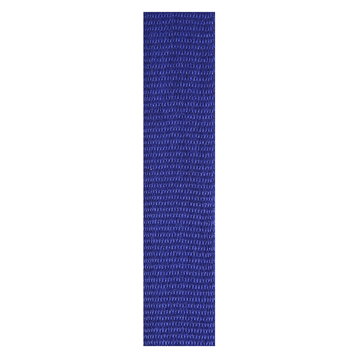 Blue Loop Rib