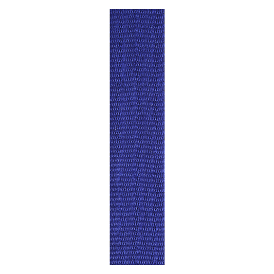 Blue Loop Ribbon!