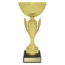 Guardian Cup