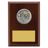 Peak Plaque Water Polo