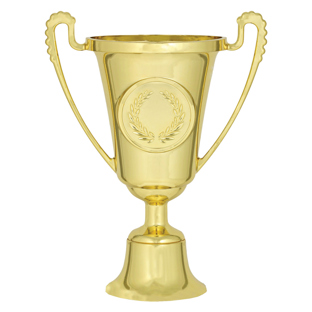 FastFix Cup