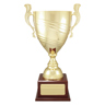 Gold Prestige Cup!