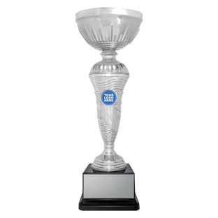 Coastline Cup - Silver
