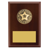 Well Done Plaque
