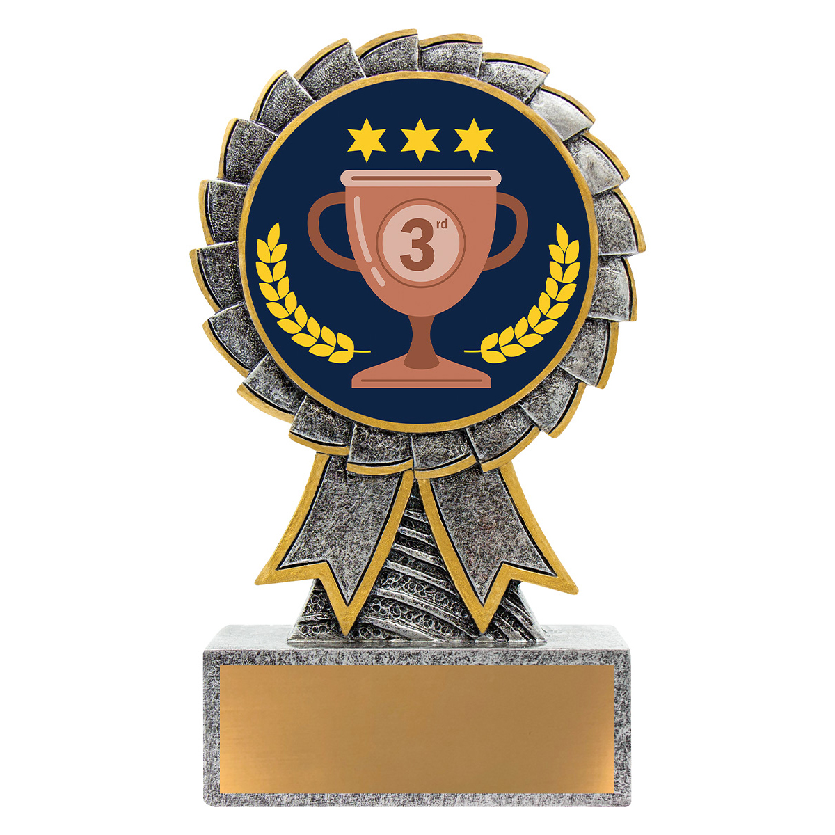 Aster - 3rd Place