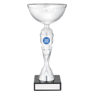 Silver Vector Cup