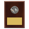 Peak Plaque Aussie Rules