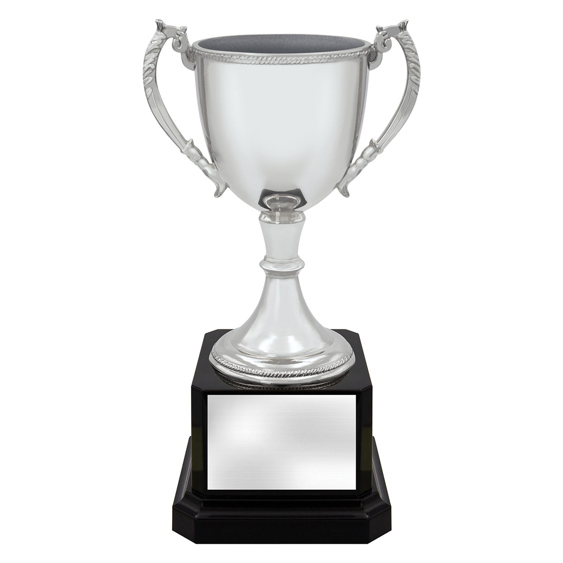 Ultimate Silver Cup!