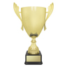 Ironside Cup - Gold!