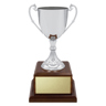 Classic Silver Cup!