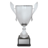 Ironside Cup - Silver!