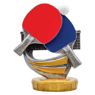 Table Tennis Top