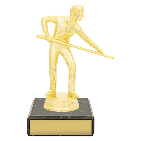 Figure Trophy - Pool!